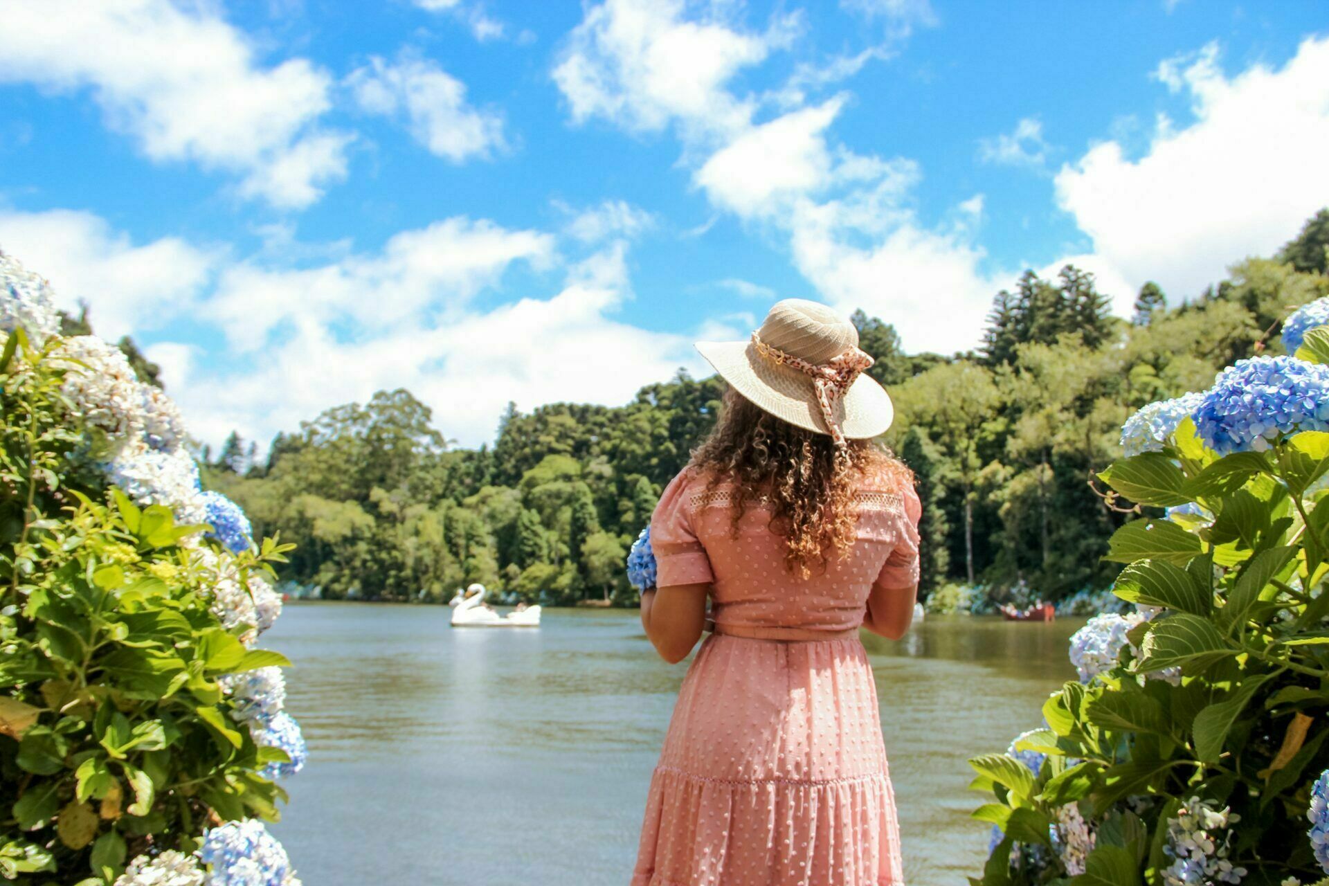 Foto Paraíso das Hortênsias Foto Paraíso das Hortênsias - Imagem 4